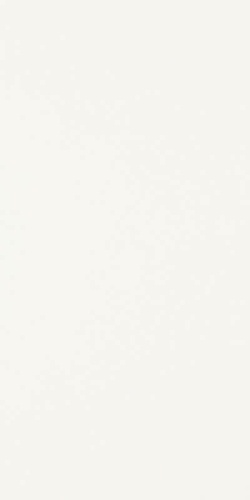 Paradyż Classica Kwadro SYNERGY BIANCO SCIANA 30X60 BudoHurt.com Łódź.jpg