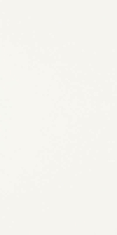 Paradyż Classica Kwadro SYNERGY BIANCO SCIANA 30X60 BudoHurt.com Łódź.jpg