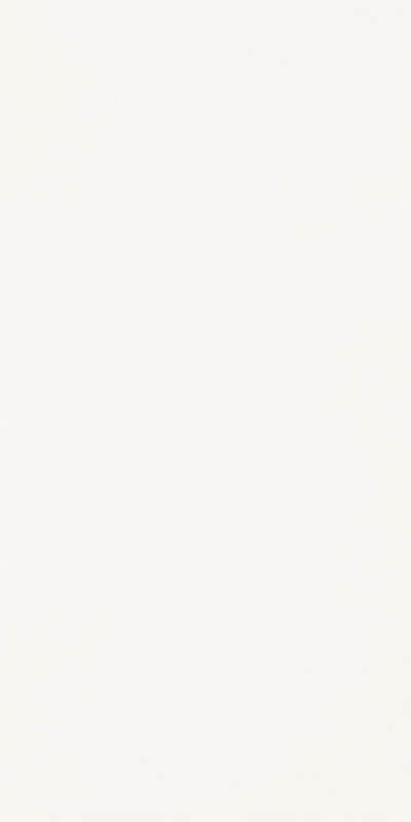 Paradyż Classica Kwadro HARMONY BIANCO SCIANA 30X60   BudoHurt.com Łódź.jpg