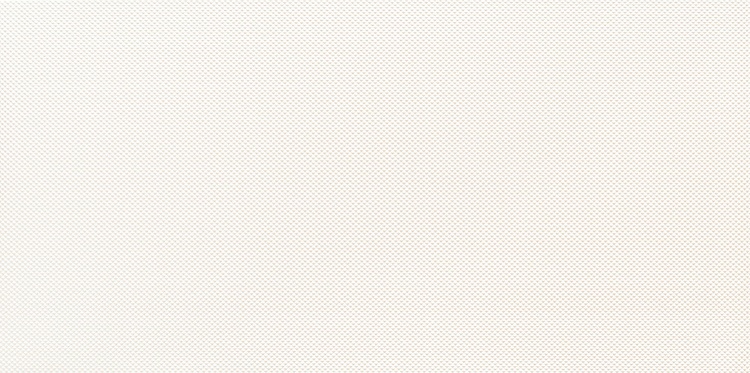 Tubądzin Reflection White 1 Dekor 29,8x59,8 BudoHurt.com Łódź.jpg