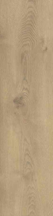 d0dbaf18dbc0136a69445bb8828d02d3