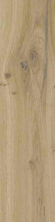 6aceb6f19ec088b6e779140cda00fb19