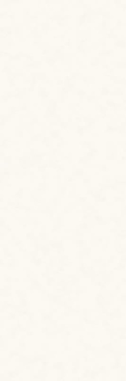 Paradyż My Way Sleeping Beauty White Sciana B Struktura Rekt. 39,8x119,8  BudoHurt Łódź.jpg