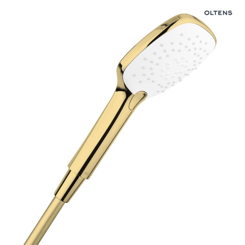 6b38ed36114248bbbde5f8bd99fc99d5