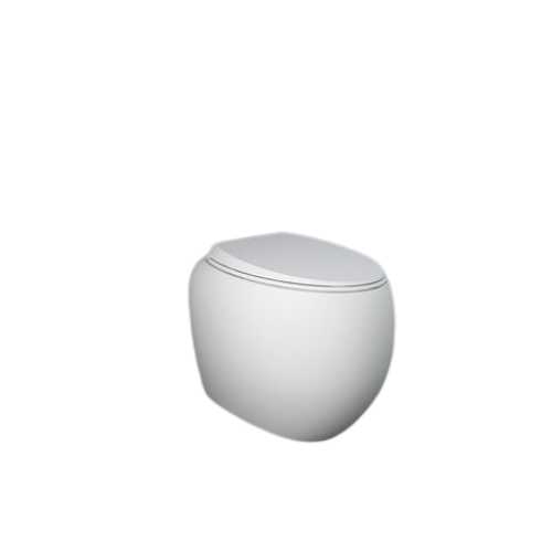 RAK Ceramics Cloud Miska WC stojąca Rimless 56x40 cm BIAŁY MAT. CLOWC1346500A  BudoHurt.com Łódź.png