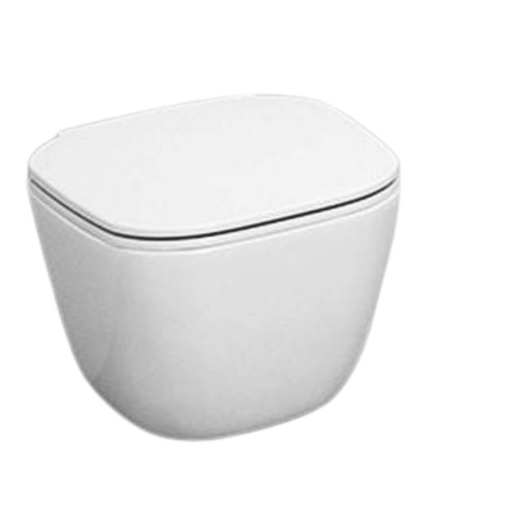 RAK Ceramics  Zestaw One Miska WC podwieszana Rimless & Deska WC slim wolnoopadająca. ONE2SET BudoHurt.com Łódź.png
