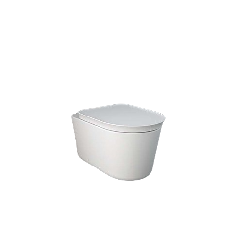 RAK Ceramics VALET Deska WC  biały mat. VALSC3901500 BudoHurt.com Łódź.png