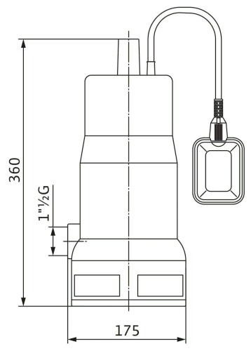 4168022 rys.jpg