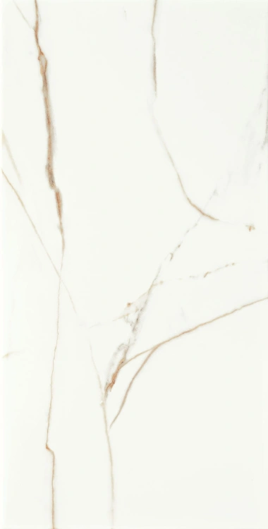 481946c049a5ee544fd5aeceb29fc752