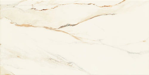 67502017c07a3472140c8c880502f2d7