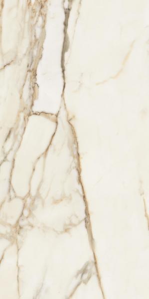 464660be2e3eba5fd0630aa62e8506c2