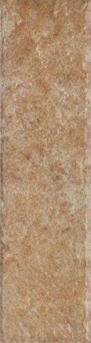 875dd1512368fb0f90a2e2fe475c0a49