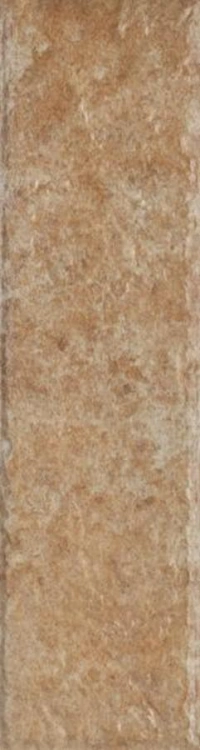 875dd1512368fb0f90a2e2fe475c0a49