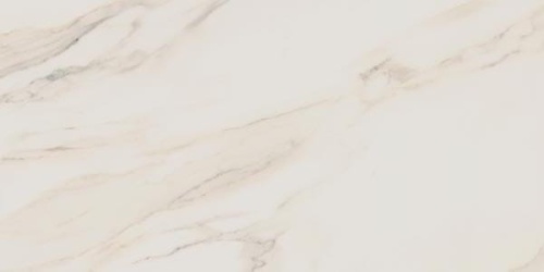 c5361a476a08403445dfb6daea953567