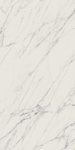 976465dce82d67e8d2649cf1c8a81725