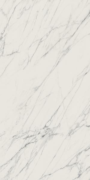 976465dce82d67e8d2649cf1c8a81725