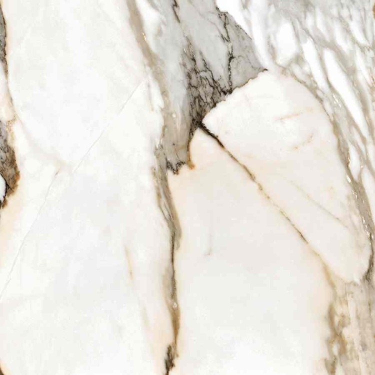 5ad0bc8df701d9487fde3786d88c37ad