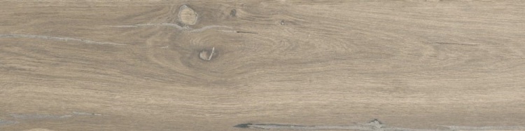 94bf20492ddc3f3f56f9fcfaf3c82e1b