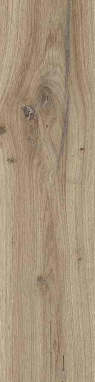 7ae9f7cfbc8988b6db0b319fabd1a900