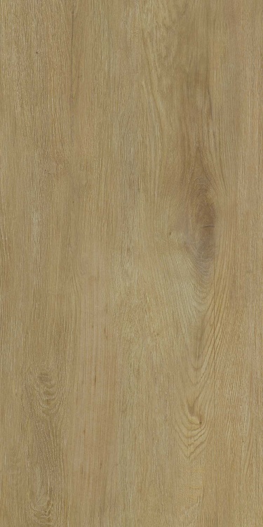 b90f2e1d48aa2d4ddf3630bd600eb6bf