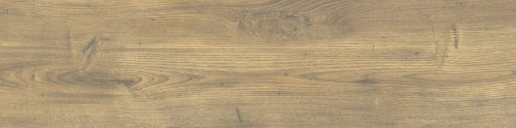 9017b8319b3b8f72b303e2c3ffe80576