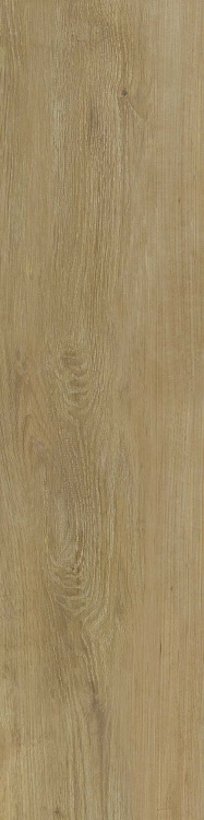 76a0f70b76b57843b036f127c9018ebe