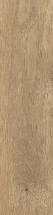 c3239b9afb1eede96600481486bbefcd