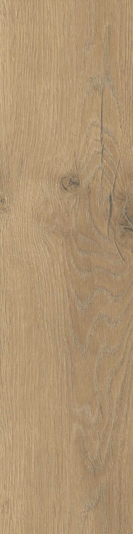 70c6bb126357721682dbe885fdf6b834