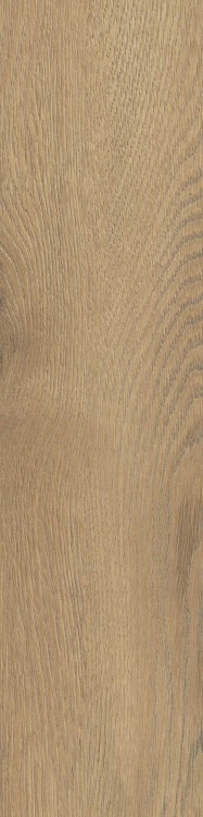 9512158294c940dbdbace1e15f55b80d