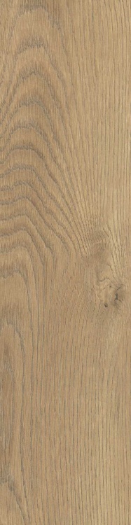 7d02986e11d05e20a9805d73f345b49a