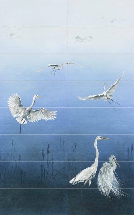 6527cf9d737012e97b2500a59bbef08d