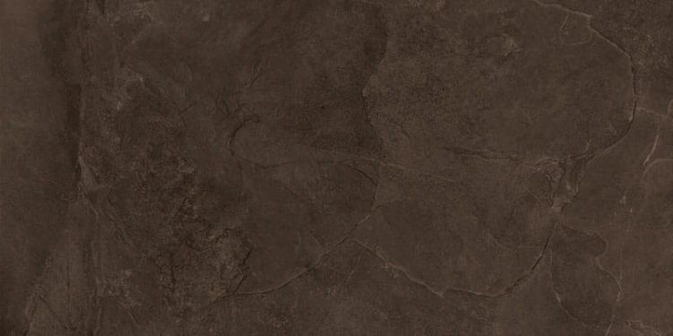 ccbc9c005d8d5e01ef25af1d41261d7c