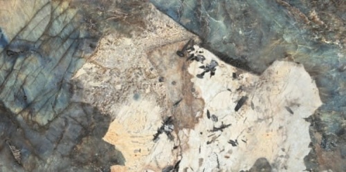 d513ac228a5095847d6dc033a72b82d4