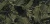 6094f477826ccb2fbb2e0fa4f768ce9b