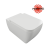 CESD.WCQDRSV.K.WH BudoHurt.com.png