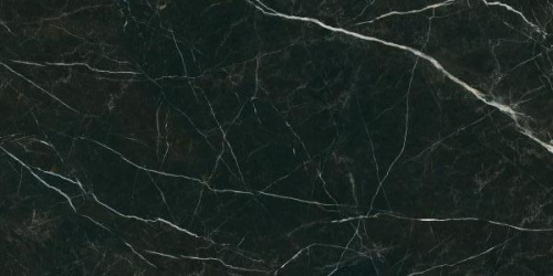 077c37f27538165ae66bfbc8228eed7b