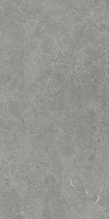Paradyż My Way AUTHORITY GREY GRES SZKL. REKT. MAT 59,8x119,8 BudoHurt.com Łódź.webp