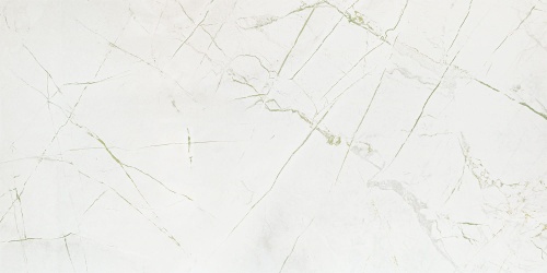 Domino RAINFOREST WHITE GLOSS 59,8X119,8 BudoHurt.com Łódź.jpg