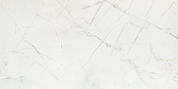 Domino RAINFOREST WHITE GLOSS 59,8X119,8 BudoHurt.com Łódź.jpg