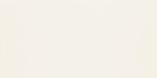 Domino DUO WHITE 29,8X59,8 BudoHurt.com Łódź.jpg