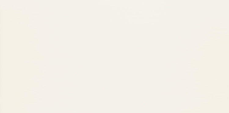 Domino DUO WHITE 29,8X59,8 BudoHurt.com Łódź.jpg