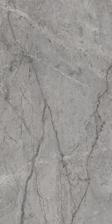 Paradyż My Way VISIONER GREY GRES SZKL. REKT. POLER 59,8x119,8 zd.7 BudoHurt.com Łódź.webp