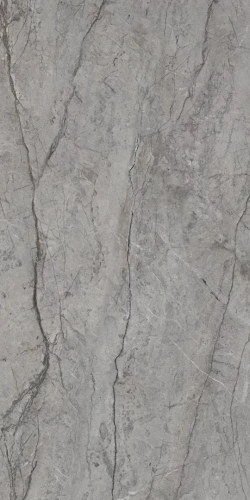 Paradyż My Way VISIONER GREY GRES SZKL. REKT. POLER 59,8x119,8 zd.6 BudoHurt.com Łódź.webp