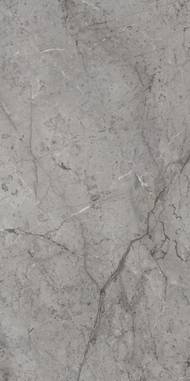 Paradyż My Way VISIONER GREY GRES SZKL. REKT. POLER 59,8x119,8 zd.4 BudoHurt.com Łódź.webp