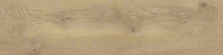 f8932f66225e353be3d81359332c6979