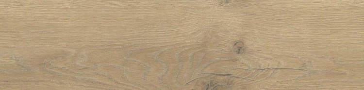 80becb48e5eec420252c161efcc07d11