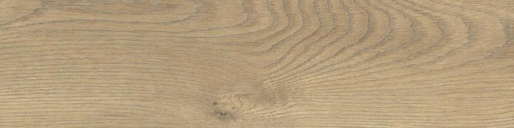 e09704eea6ecabb0a883700c1018a152