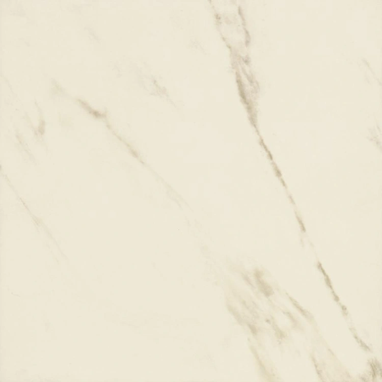 e42e4407c206369cf5a954d7c2640a5b