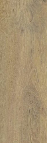 11437c578550e056f037543c2f4c9600