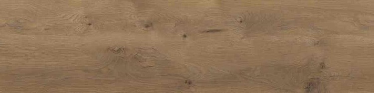 8f6c45bf297e469a7f52595ac6dcf506